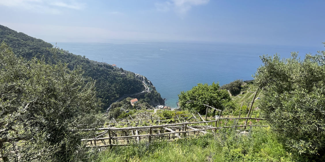 Sentier des Citrons Maiori